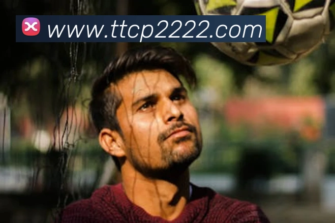 天天彩票官方网站服务体系